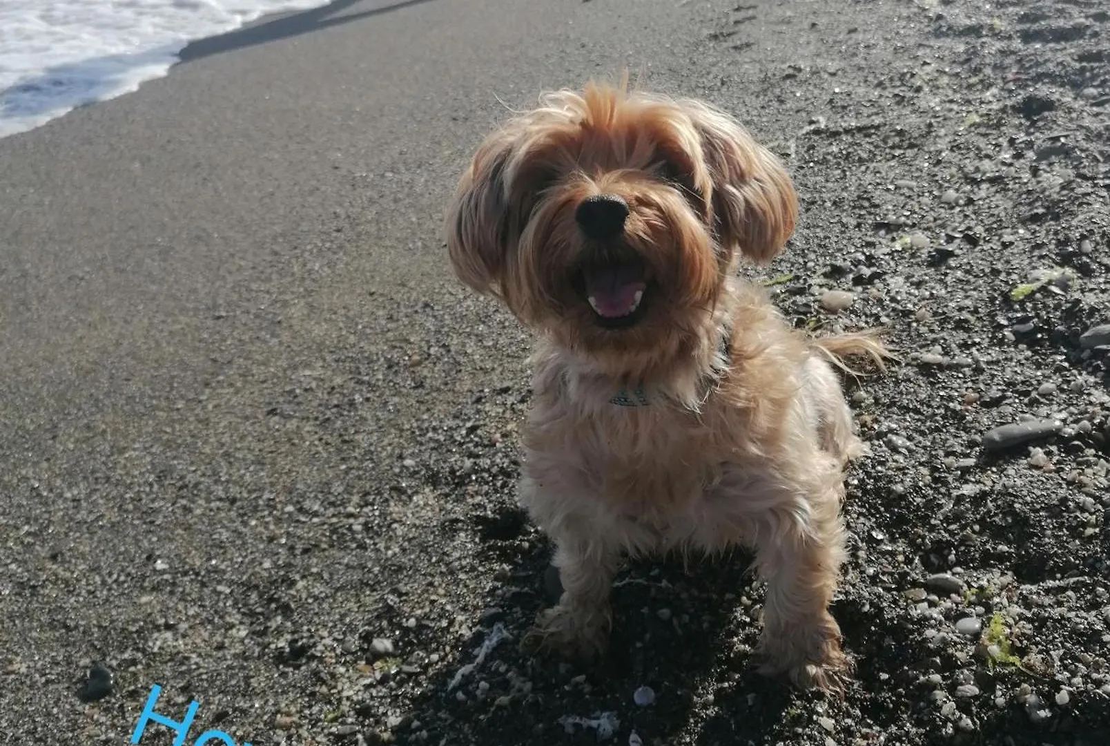 Atico Pet Friendly Con Piscina Apartment Torre Del Mar